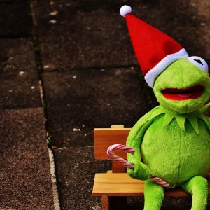 kermit, frog, christmas-1795801.jpg